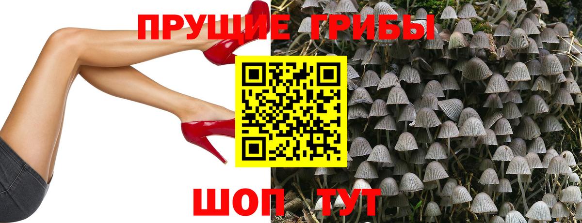 Псилоцибиновые грибы MAGIC MUSHROOMS Шахты