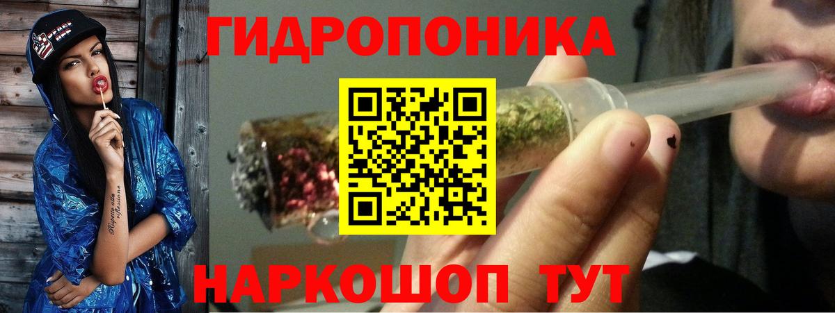 Канабис план Шахты