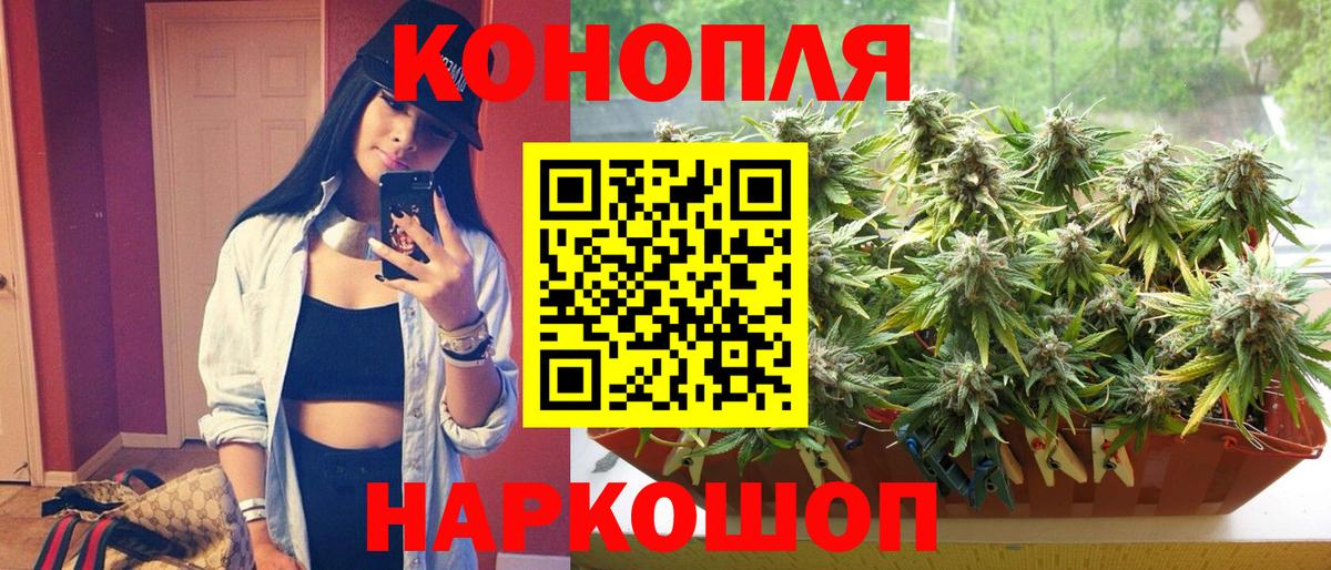 Шишки марихуана план  Конопля сатива  Вход с VPN  Шахты  Марихуана Ganja  Конопля ГИДРОПОН 